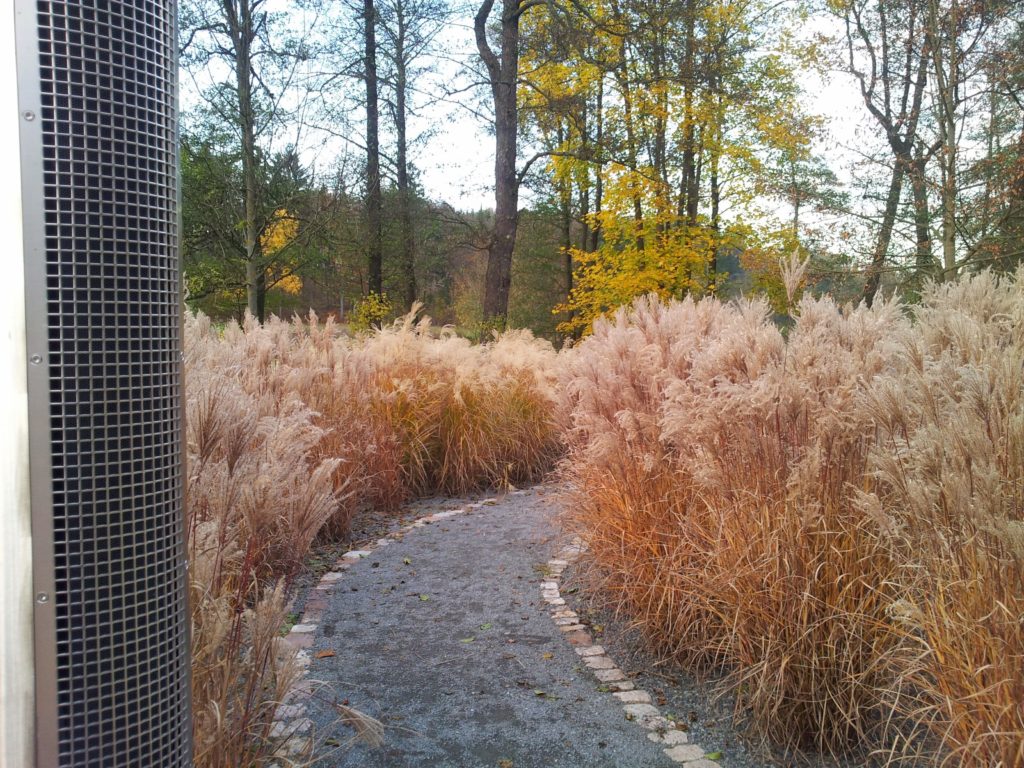 Klanginsel im Kurpark in Thermalbad Wiesenbad