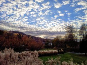 Klanginsel im Kurpark in Thermalbad Wiesenbad