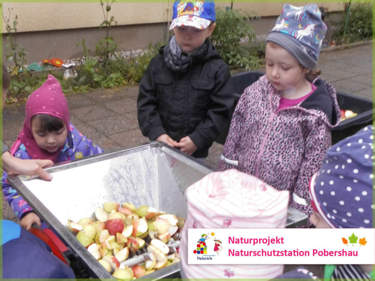 Naturprojekt Naturschutzstation Pobershau