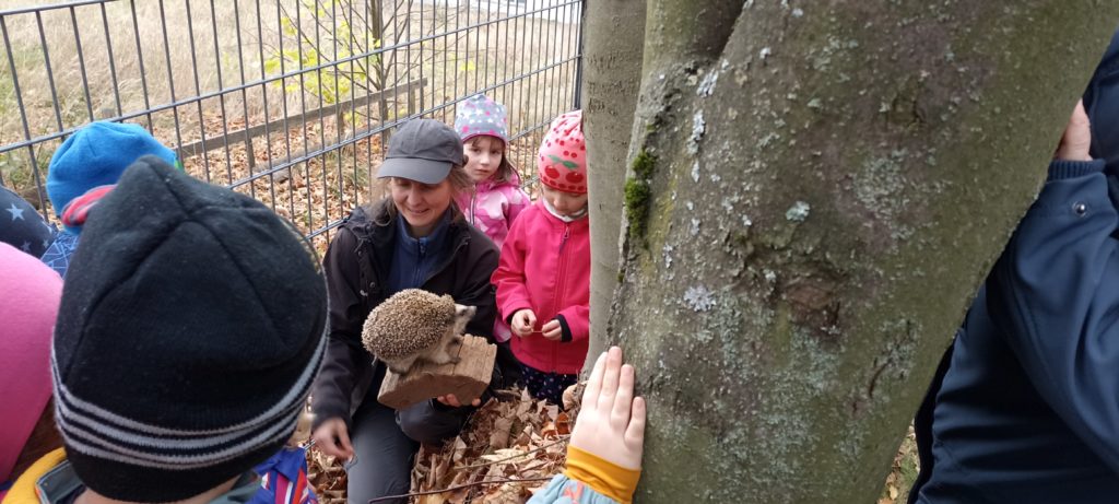 Projekttag zum Thema Igel Igor