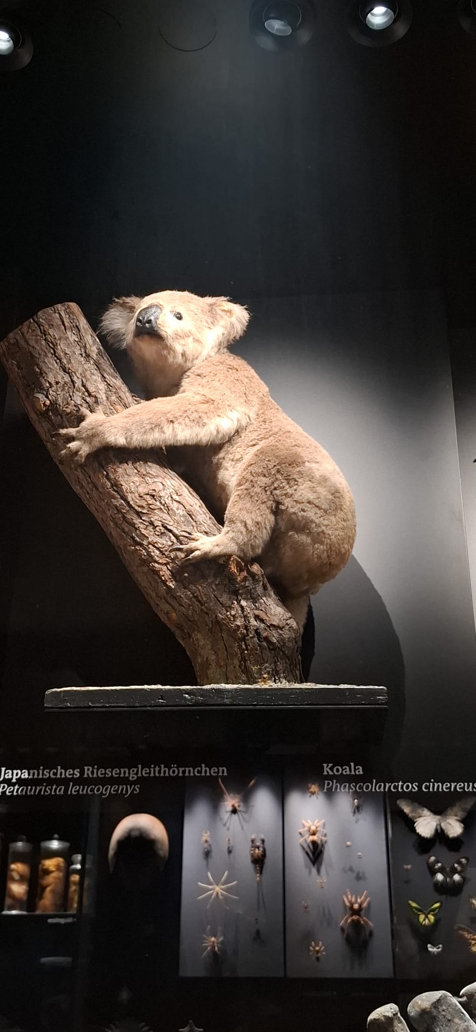 Tag 8 - Ferienfreizeit in Braunschweig - Museum