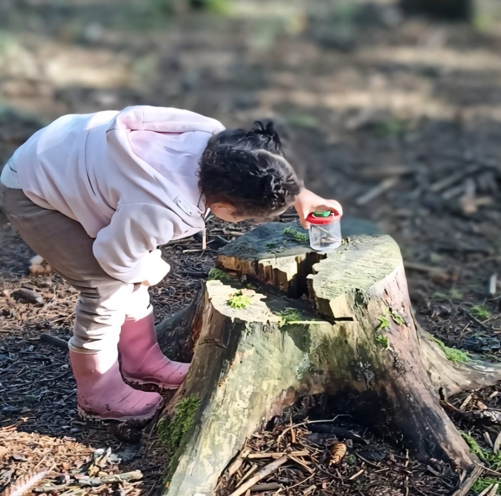 Unsere Waldtage im Kindergarten
Kind schaut in Vergrößerungsglas