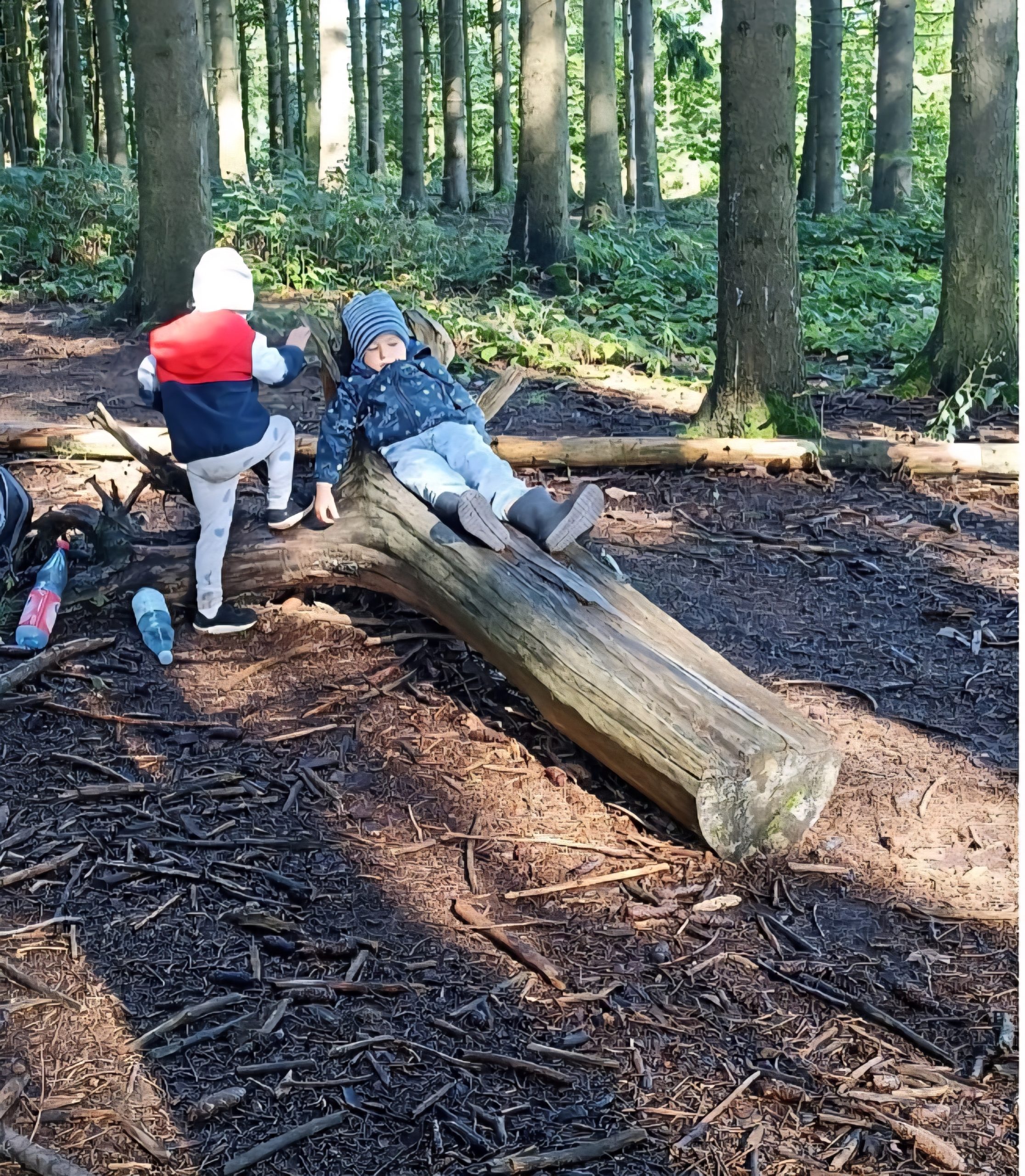 Unsere Waldtage im Kindergarten
Kinder schauen in Vergrößerungsglas