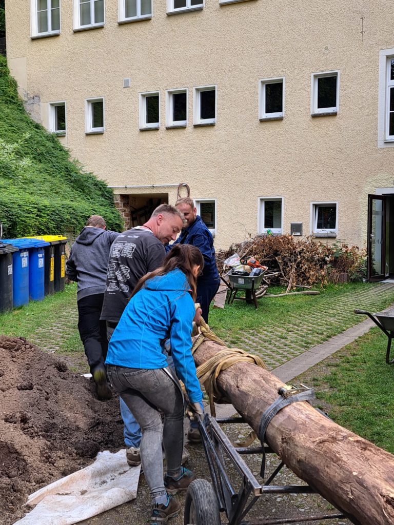 In 4 Elterneinsätzen gelang es uns, eine 7 Meter lange Rutsche, 19 Robinen Stämme mit bis zu 5 Meter Länge, einen Rutschen Aufstieg, der 7 Meter lang ist, und Tonnen von Beton und Sand mit Schubkarren und Minibagger an Ort und Stelle zu bringen.