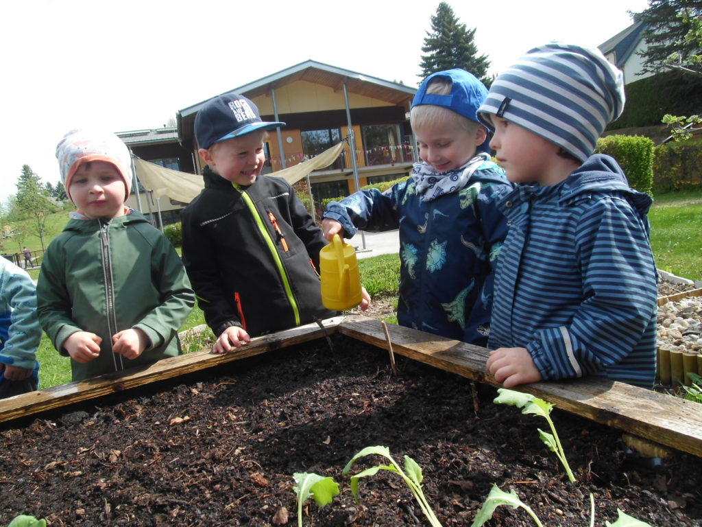 Frühlingszeit im Naturkindergarten „Sonnenschein“