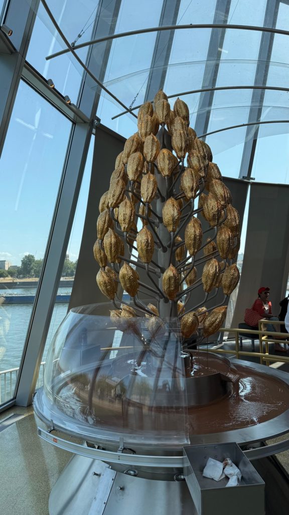 Wenn man Köln ist, ist das Schokoladenmuseum ein MUSS. Natürlich hatte unsere Simone eine Führung mit Verkostung gebucht.
Wir haben viel über die Kakaobohne erfahren und natürlich auch pur gekostet. Bis die herrlich süße und sahnige Schokolade fertig ist, sind noch viele Handgriffe nötig. Es war sehr interessant und die Verkostung im letzten Teil der Führung einfach lecker. Nach dem Fußmarsch über die Deutzer
Brücke, waren wir geschafft. Aber nur für kurze Zeit. Zum Abendessen mit viel Nudeln und viel Soße waren wir alle wieder „Topfit“.